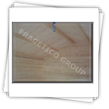 Casuta de vacanta din lemn masiv FRG 21 + 5T