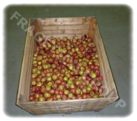 Boxpalet Fruit