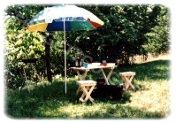 La picnic in mijlocul naturii